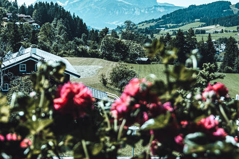 Aussicht vom Appartement Grosslehen