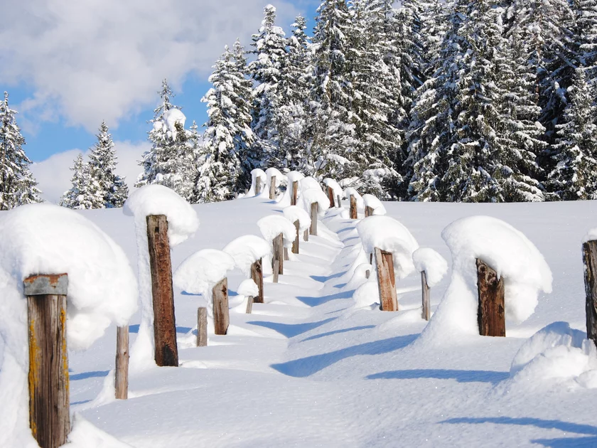 snowy landscape for winter walking