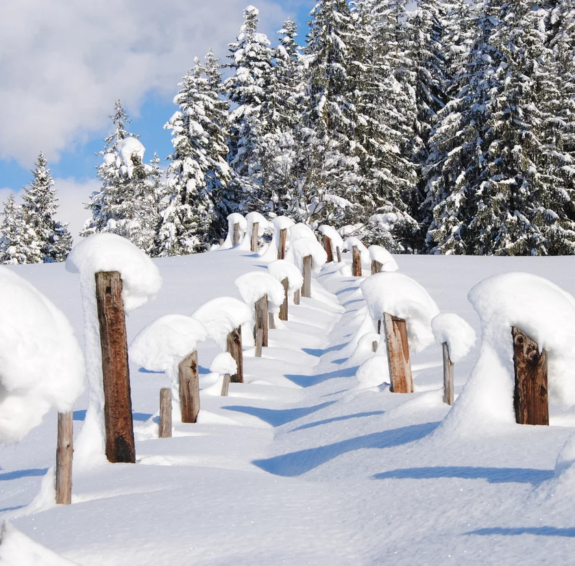 Hotel Chalets Grosslehen Winterwandern tief verschneite Landschaft zum Winterwandern