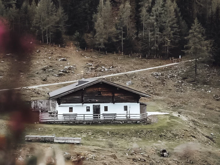 Naturaufnahme Alm