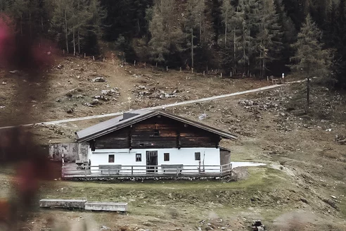 Naturaufnahme Alm