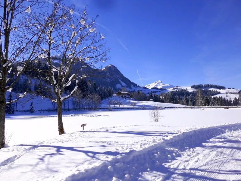 snowy landscape for winter walking