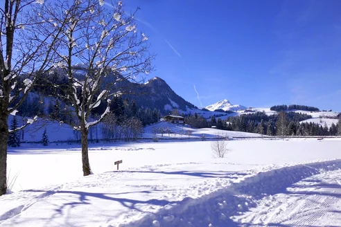 tief verschneite Landschaft zum Winterwandern