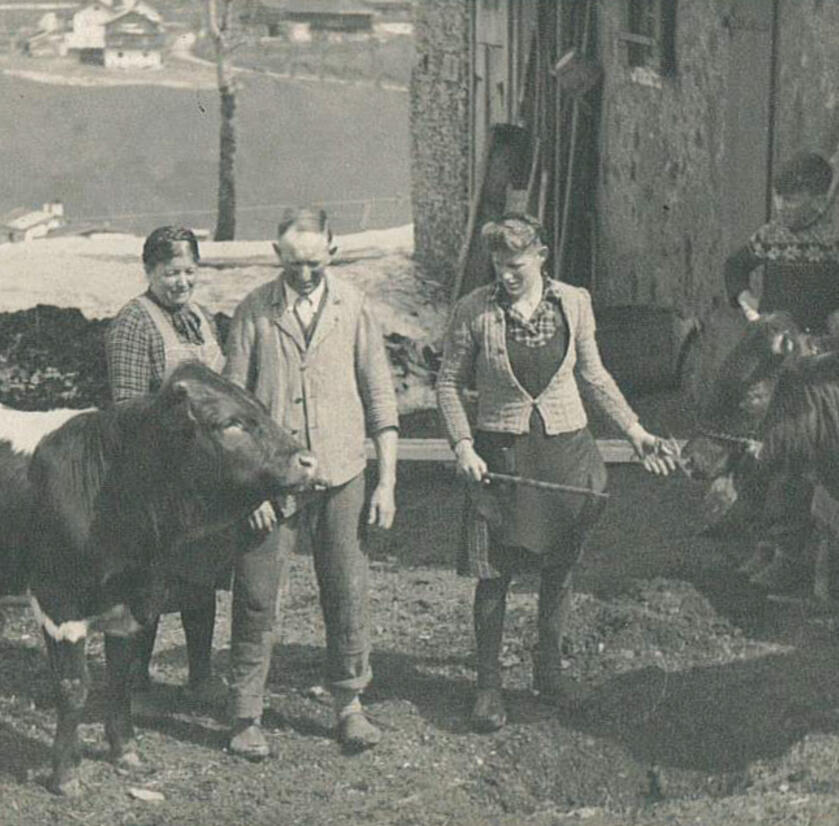 five people and two cows standing in a circle