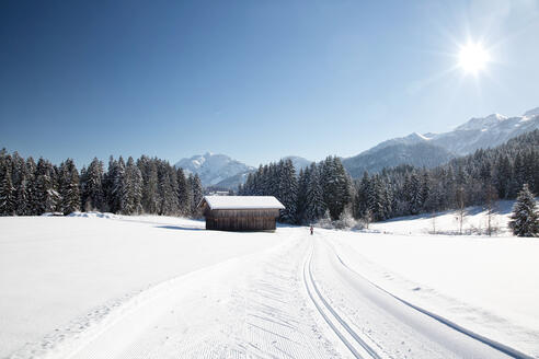 cross country track