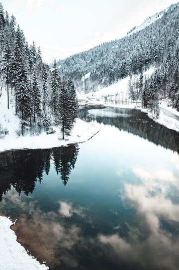 Naturaufnahme Winterlandschaft mit See